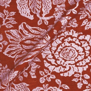 V&A Brompton Collection - Flowering Kale: Chilli