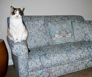 Petworth 2 Seater Sofa in William Morris Bramble Mineral Slate