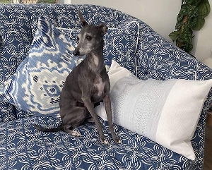 Abbotsbury 3 Seater Sofa in Romo Sarouk Kashi Buxton Blue and Flora