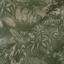 Fabric RHS Botanicals - Ferns Toile: Spring Green