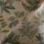Fabric RHS Botanicals - Foliage: Spring Green
