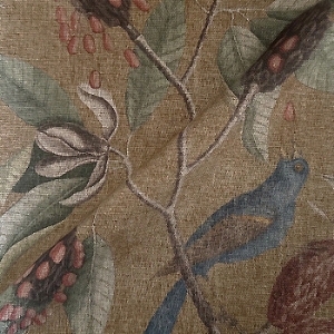 RHS Botanicals - Mark Catesby Grosbeak: Corn