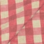 Exclusive Fabric Sussex Gingham Large: Cardinal