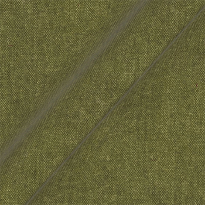 Fabric Easy Clean Chenille: Moss