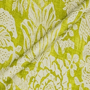 Spill Resistant V&A Flowering Kale: Lime