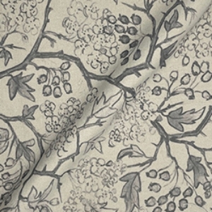 Spill Resistant RHS Gertrude Jekyll: Grey