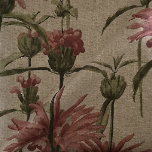 Spill Resistant RHS Henry Moon Lions Tail: Rose