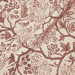 Spill Resistant RHS Gertrude Jekyll: Rust