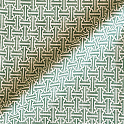 Spill Resistant RHS Gertrude Jekyll Lattice: Green