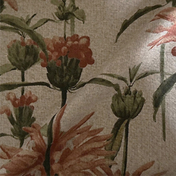 Spill Resistant RHS Henry Moon Lions Tail: Terracotta