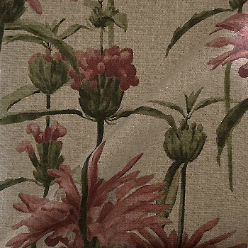 Spill Resistant RHS Henry Moon Lions Tail: Rose
