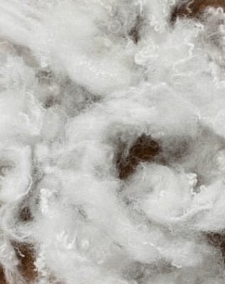 Seat cushion interior