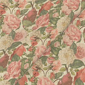 Spill Resistant RHS Etta's Bouquet All Over: Sunset