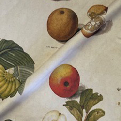 Spill Resistant V&A All Over Botanical Collage: Market Garden