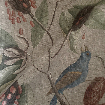 Spill Resistant RHS Mark Catesby Grosbeak: Natural