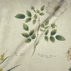 Spill Resistant RHS Lydia Penrose Design: Flowers