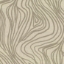 Contour Lines: Bark