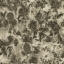 Globe Thistle: Bark