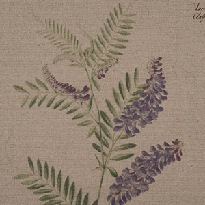 Spill Resistant RHS Lydia Penrose Design: Flowers