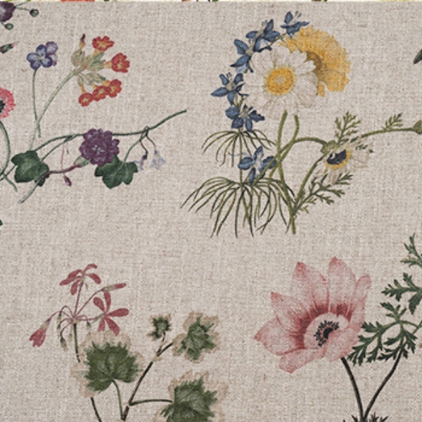 Spill Resistant RHS Caroline Maria Applebee Collage: Wildflowers