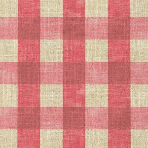 Sussex Gingham Small: Cardinal