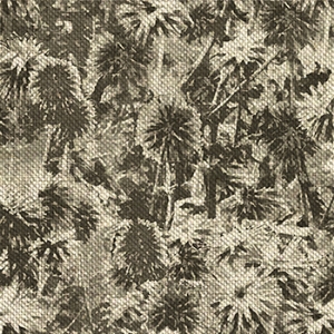 Spill Resistant Globe Thistle: Bark