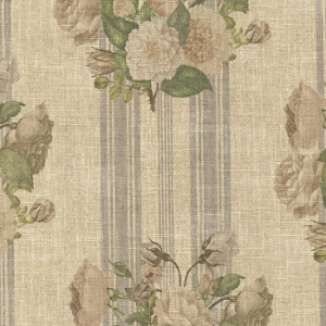 RHS Etta's Bouquet: Alba Stucco