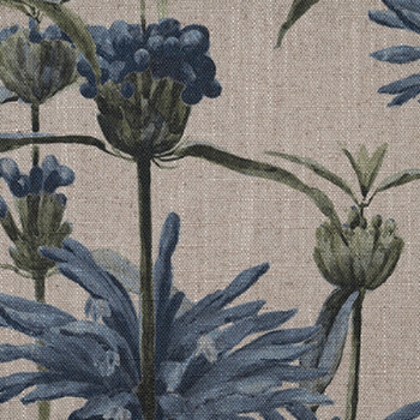 RHS Botanicals - Henry Moon Lions Tail: Indigo