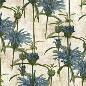 RHS Botanicals on Velvet - Henry Moon Lion's Tail: Capri