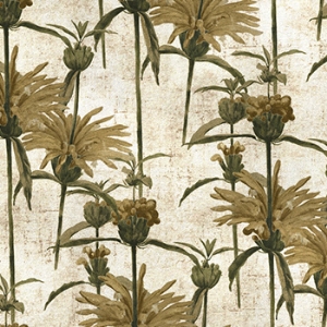 RHS Botanicals on Velvet - Henry Moon Lion's Tail: Sandstone