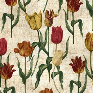 RHS Botanicals on Velvet - Pieter van Kouwenhoorn Tulips: Natural