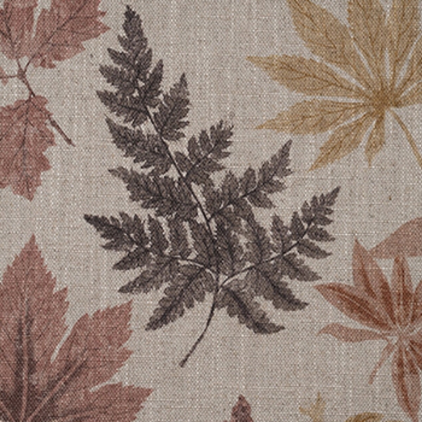 RHS Botanicals - Foliage: Terracotta