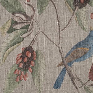 RHS Botanicals - Mark Catesby Grosbeak: Natural