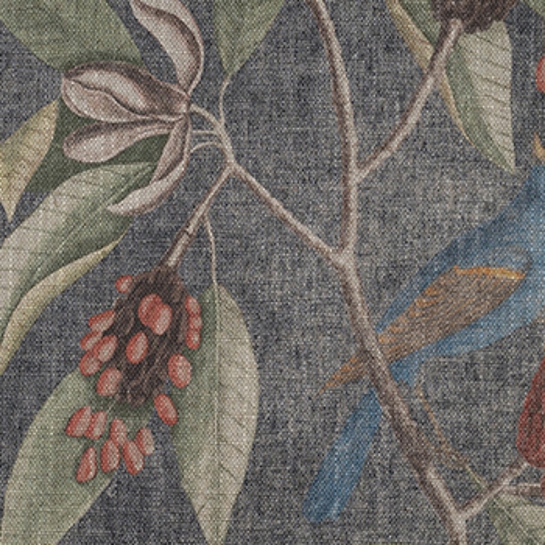 RHS Botanicals - Mark Catesby Grosbeak: Pitch