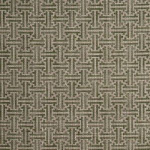Spill Resistant RHS Gertrude Jekyll Lattice: Olive