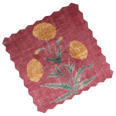 Order up to 6 free samples