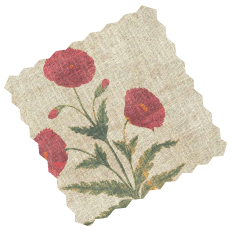 Order up to 6 free samples